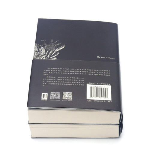 OVERLORD(7共2册) 商品图3