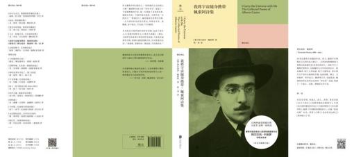 我将宇宙随身携带(佩索阿诗集)(精)/雅众诗丛 商品图3