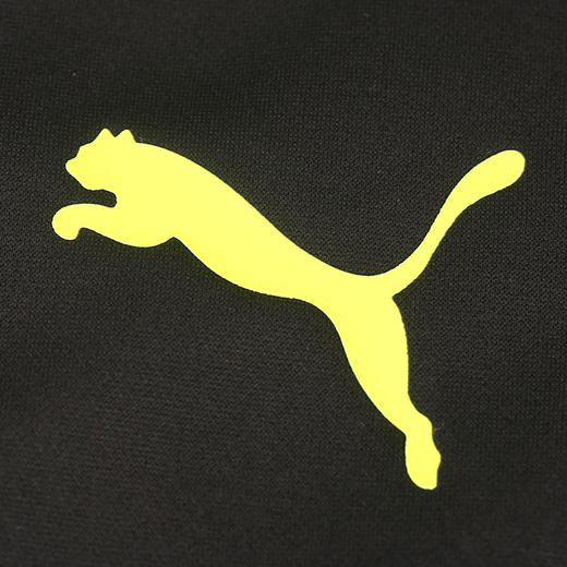 PUMA/彪马多特蒙德半拉链比赛训练长袖成人男765019-05 商品图2