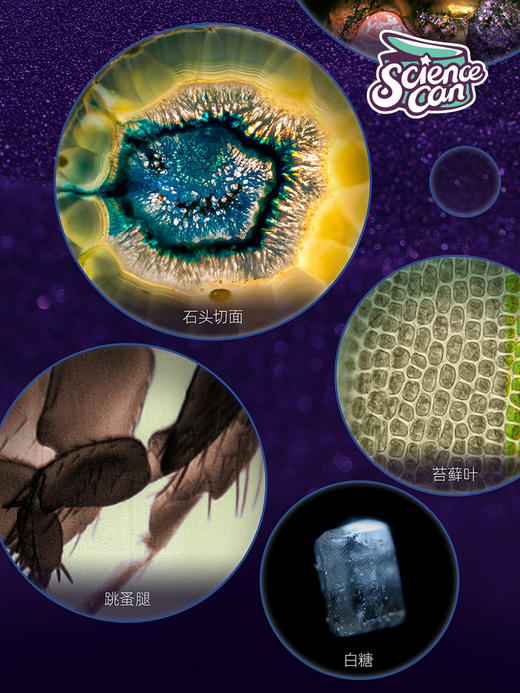 【预售：10天后发货】儿童便携式手持达尔文显微镜豪华版 商品图6