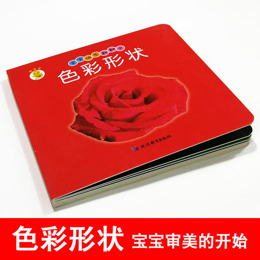 色彩形状幼儿早教卡看图识物早教书婴儿宝宝书籍0-3岁撕不烂益智彩色识字卡片儿童图书绘本6-2-1周岁启蒙认知认字识图认物翻翻看 商品图2