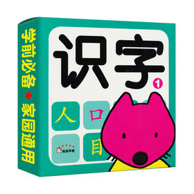 幼儿园大中小班学前启蒙卡 识字(1) 幼儿认知卡片3-6-8岁早教书籍