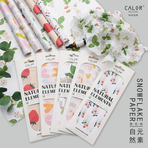 *【琳琅】自然元素雪花纸（10张/包） 商品图1