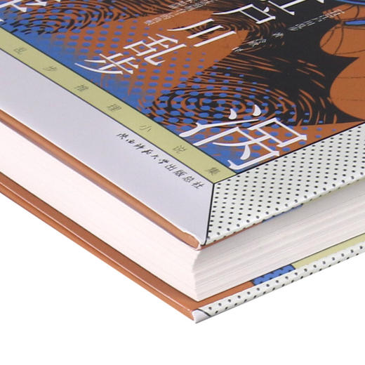 三重旋涡(精)/江户川乱步推理小说集 商品图2