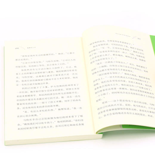 海狸的记号 商品图4