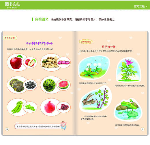 【官方正版】幼小衔接标准课程自然与科学 下 晨曦早教 一日一练学前班教材全套幼儿用书 小学入学准备 幼儿园学前教育 商品图3