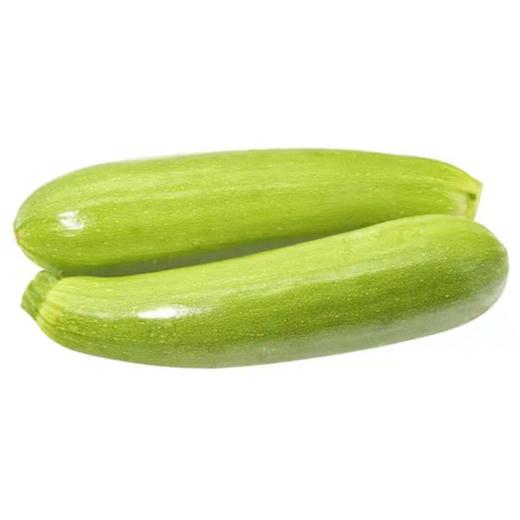 小西葫1份*500g±80g 商品图0