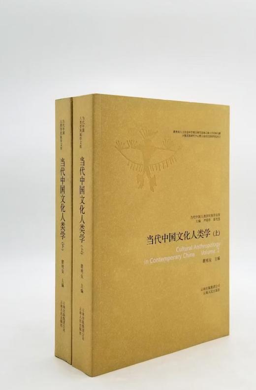《当代中国文化人类学》上下两册，瞿明安著，云南人民出版社2008年版，1000多页，定价116，售价40元。非偏远地区包邮，品相9成。 本书力图全面、客观地反映当代中国文化人类学各分支学科和理论方 商品图0