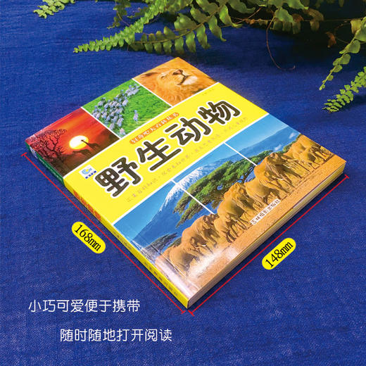 野生动物大百科绘本十万个为什么注音科普小百科读物全套科学启蒙认知幼儿少儿宝宝儿童3-6-8-9-12岁小学生书籍dk世界百科全书 商品图3