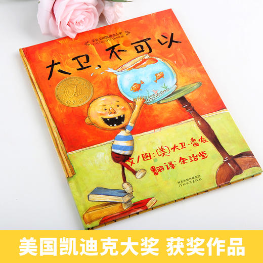 【正版硬壳】大卫不可以 精装启发绘本荣获美国凯迪克大奖启发绘本3-8岁婴幼儿童故事经典畅销绘本图画书3-4-5-6岁亲子共读推荐 商品图1