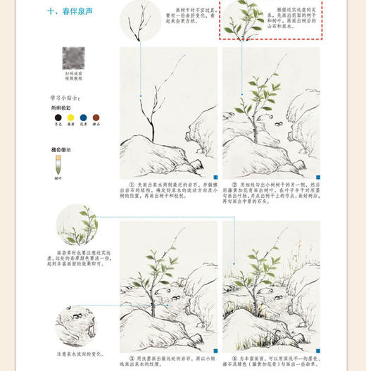 正版 青藤国画入门视频教程 蔬果篇幼儿童初学画零基础画集实用临摹教材写意美术课件起步教程书籍绘画技法河南美术出版社艺术书籍 商品图3