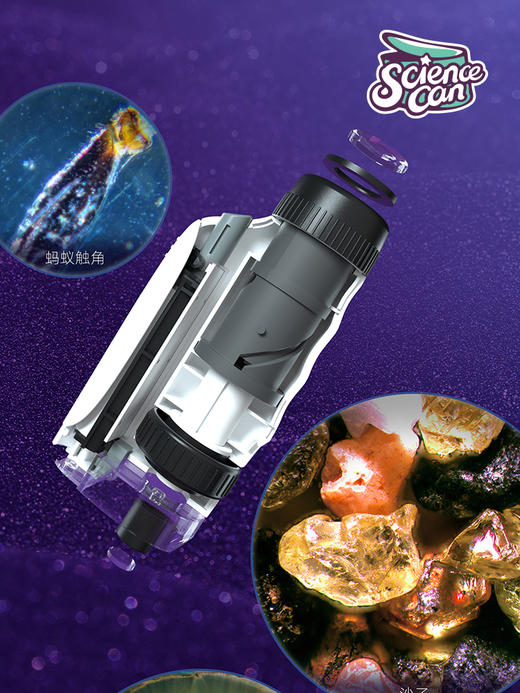 【预售：10天后发货】儿童便携式手持达尔文显微镜豪华版 商品图7