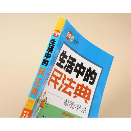 生活中的民法典 看图学法 司法部普法与依法治理局 著 法律 商品图2