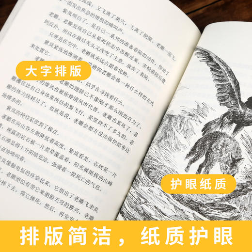 狼王梦正版书免邮沈石溪的书动物小说大王 小学生三四五六年级课外书籍青少年读物8-10-12-15岁儿童文学童话故事书浙江少儿 商品图2
