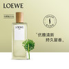 1LPY LOEWE/罗意威天光女士淡香水奇迹怡然马德里香氛花香持久 商品缩略图1