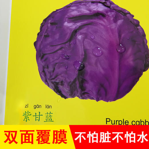 新鲜蔬菜幼儿早教卡看图识物早教书婴儿宝宝书籍0-3岁撕不烂益智彩色识字卡片儿童图书绘本6-2-1周岁启蒙认知认字识图认物翻翻看 商品图4