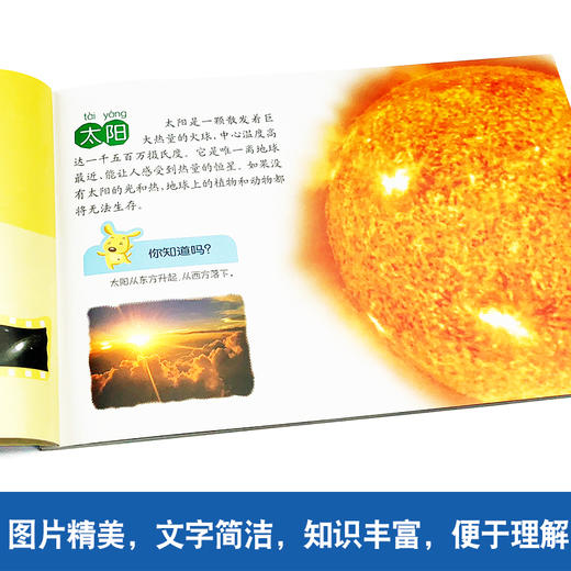 小眼睛看世界 识自然 小马奔奔 0-1-2-3-4-5-6-7岁幼儿启蒙认知丛书 彩图识自然 宝宝识自然 儿童识自然宝宝认识物品早教卡片 商品图4