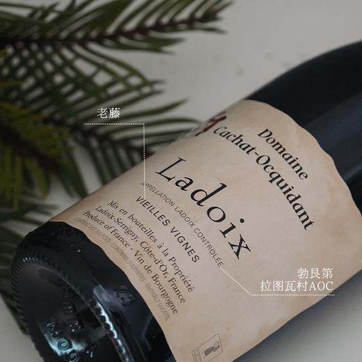 【拉图瓦村庄级AOC】凯撒世家拉图瓦老藤干红葡萄酒 AOC等级 13.5%vol 商品图2