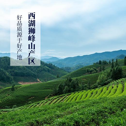 西湖工夫西湖龙井2022新茶狮峰山特级精品狮吼150g盒