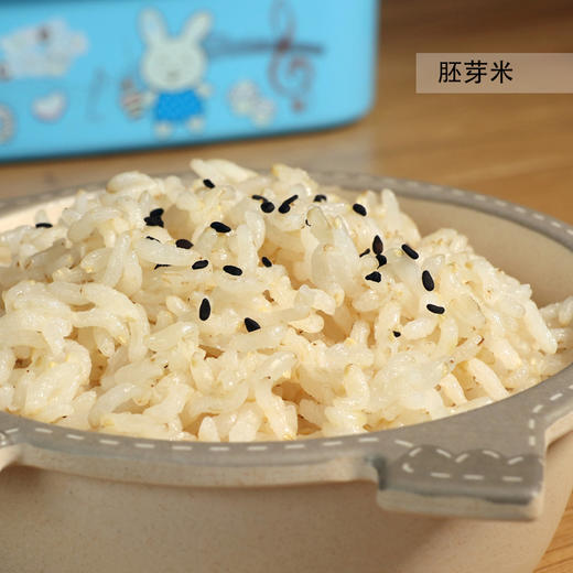 【谦益】【2025年秋季新米】香畴 宝宝胚芽米 孩子直舔碗底 500g/袋【多规格】 商品图1