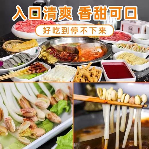 花生芽（约500g） 商品图1