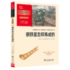 钢铁是怎样炼成的(彩插励志版无障碍阅读)/中小学生阅读指导丛书 商品缩略图0