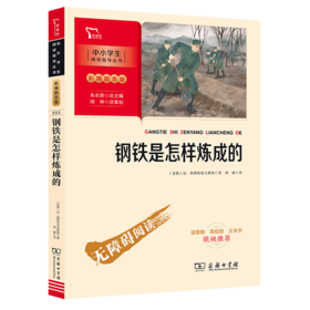 钢铁是怎样炼成的(彩插励志版无障碍阅读)/中小学生阅读指导丛书