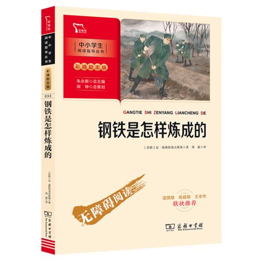 钢铁是怎样炼成的(彩插励志版无障碍阅读)/中小学生阅读指导丛书 商品图0