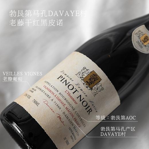 【世界遗产名录 教会酒庄遗存传承】菲特瓦马丁庄园凯旋老藤黑皮诺干红葡萄酒 勃艮第AOC 13%vol 商品图1