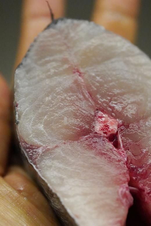 【肥嫩鲜润】 宁波鰆鯃/川乌鱼 当日鲜捕 优中选优 冰鲜到家 商品图9