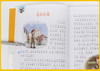 10本 格林童话 安徒生童话 一千零一夜 绿野仙踪 稻草人 小王子 成语故事 昆虫记 课外书1-2-3-4年级小学生新课程正能量课外书阅读 商品缩略图3