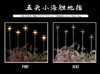 5头小海胆地插（运费自理） 商品缩略图0