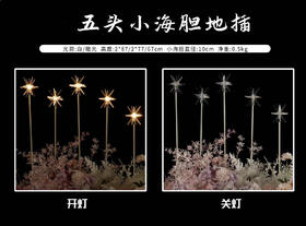 5头小海胆地插（运费自理）