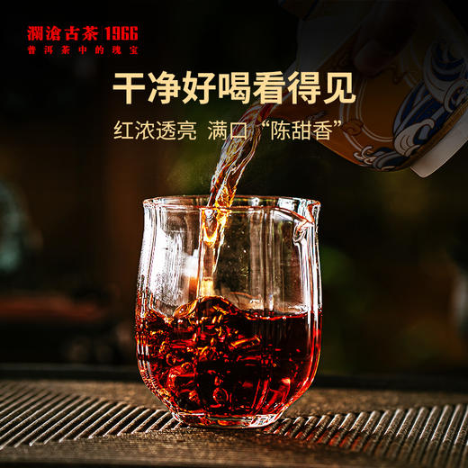 【送礼佳品】澜沧古茶2022年八壹金瓜普洱茶熟茶500g 商品图2