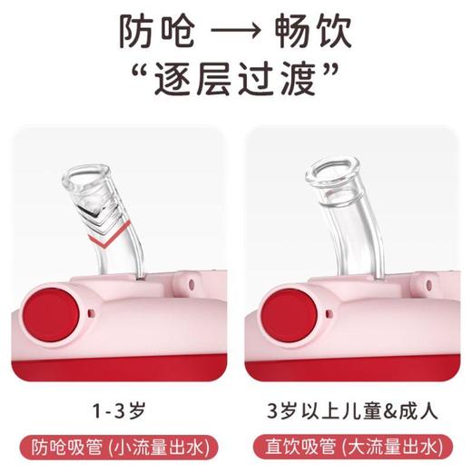 恩尼诺萌动水杯 300ml 商品图1