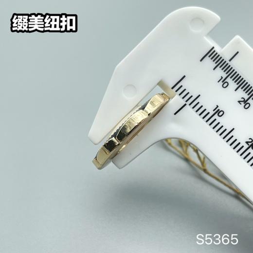 S5365(整包购买) 商品图3