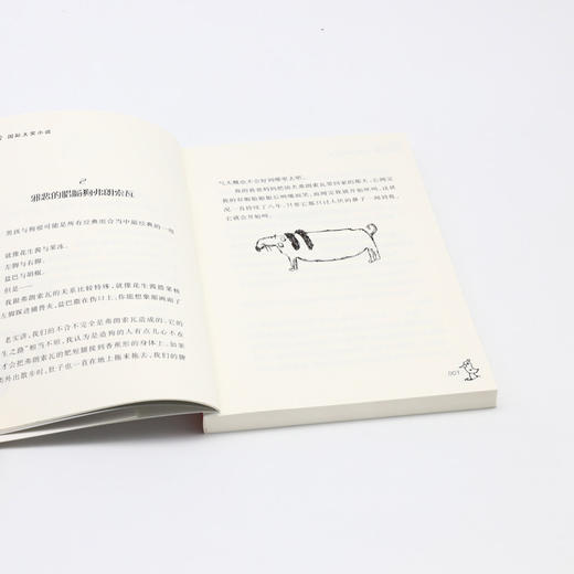 我是你的隐形朋友/国际大奖小说 商品图4