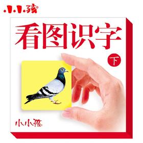 看图识字下 宝宝婴幼儿园象形认字识字卡片0-3-6岁早教学字卡片学龄前儿童儿童早教书籍 亲子学前图书 学龄前幼儿园学前班教育书籍