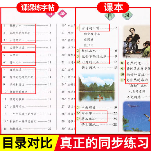 2020部编人教版语文课本同步练字帖四年级下册练字本写字课课练小学生RJ版写字课课练小学4年级下册下学期笔画笔顺铅笔楷书正楷字 商品图1