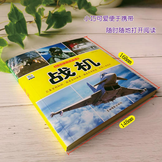战机大百科绘本十万个为什么注音科普小百科读物全套科学启蒙认知幼儿少儿宝宝儿童3-6-8-9-12岁小学生书籍dk世界百科全书 商品图3