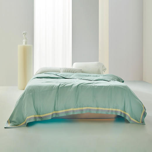 【6F】罗莱 粹 航天天山雪鹅 白鹅绒被夏 商品图0