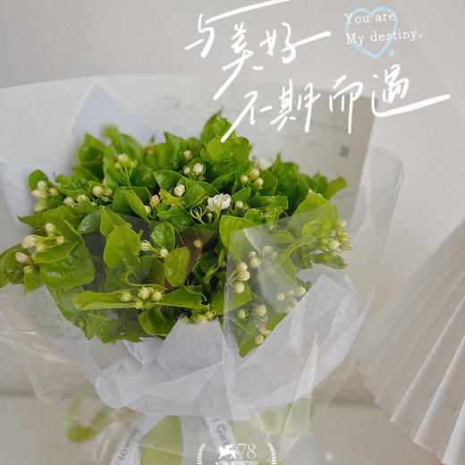 春日茉莉 · 花束 商品图0