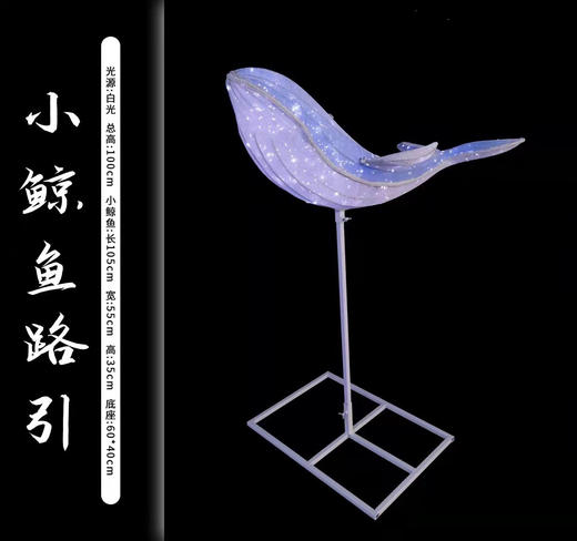 小鲸鱼路引（运费自理） 商品图0