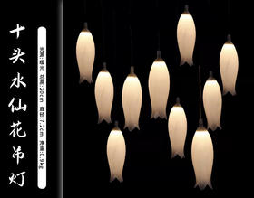 10头水仙花吊灯（运费自理）