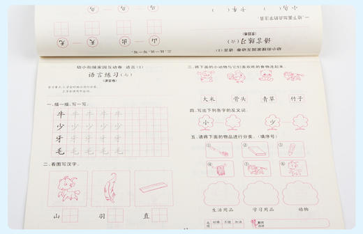 幼小衔接家园互动卷语言1 学前班试卷测试卷幼小衔接学前冲刺100分测试卷幼儿园大班升一年级拼音3-6岁幼儿全套幼升小入学常备书籍 商品图3