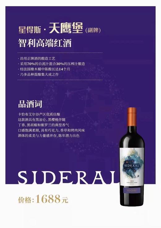 星得斯天鹰堡（副牌） 750ml*2瓶 商品图1
