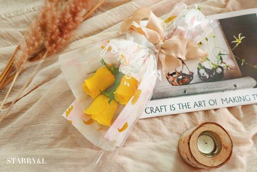 *【琳琅】自然元素雪花纸（10张/包） 商品图3