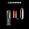 【6F】Dyson戴森 AM09无叶暖风扇 制暖、凉风二合一 四季适用 节能加热 【中国红】 商品缩略图5