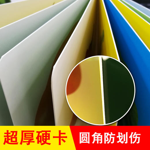 新鲜蔬菜幼儿早教卡看图识物早教书婴儿宝宝书籍0-3岁撕不烂益智彩色识字卡片儿童图书绘本6-2-1周岁启蒙认知认字识图认物翻翻看 商品图3