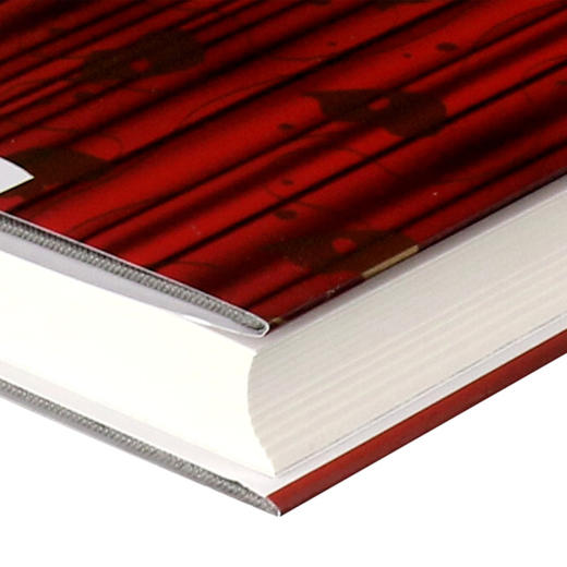 剧院魅影(精)/译文经典 商品图2